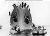 scharnhorst 33